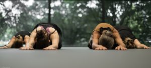 Adho Mukha Virasana yoga beweging